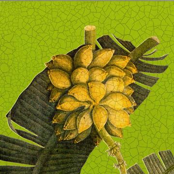 Bananier, Set de Table Chromo Plastifié, vert prairie, carré [2]