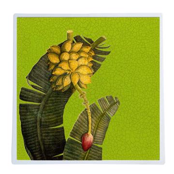 Bananier, Set de Table Chromo Plastifié, vert prairie, carré [1]