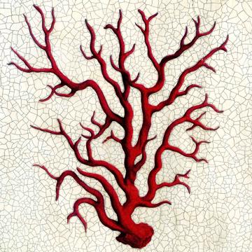 Branche de corail, Sets de Table Chromo Plastifié, rouge [2]