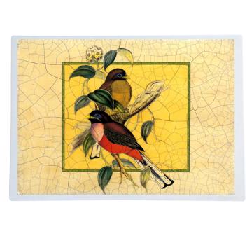Oiseaux Gould, Set de Table Chromo Plastifié, multicolore, oiseau 1 [1]