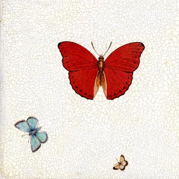 Papillons, Set de Table Chromo Plastifié, multicolore [3]