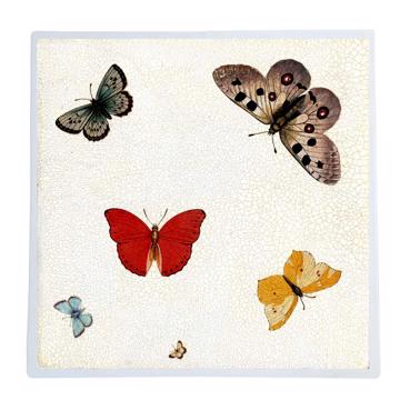 Papillons, Set de Table Chromo Plastifié, multicolore