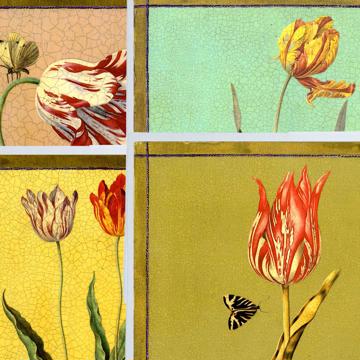 Tulipes, Sets de Table Chromo Plastifié, multicolore, collection complète [2]