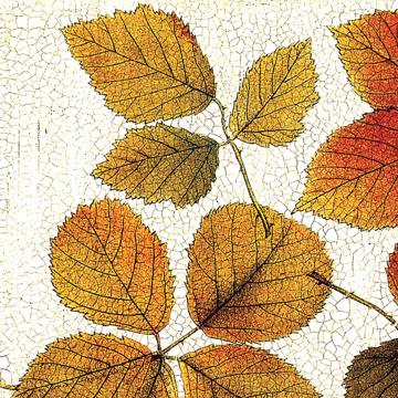 Feuille d'automne, Sets de Table Chromo Plastifié, blanc [4]