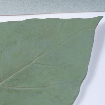 Plateau à Fromage Folio en grès, vert clair [4]