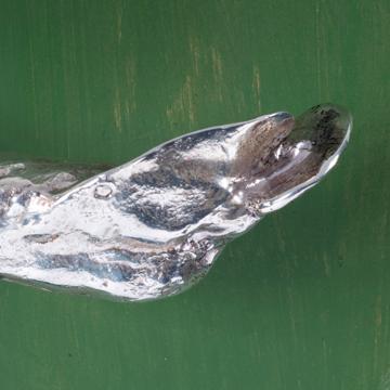 Poignée de porte Oiseau en métal patiné, argent, droite [5]