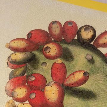 Opuntia, Sets de Table Chromo sur bois, jaune [2]