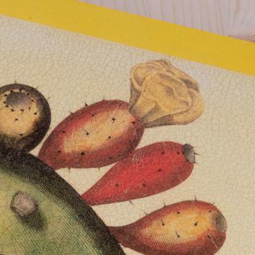 Opuntia, Sets de Table Chromo sur bois, jaune [5]