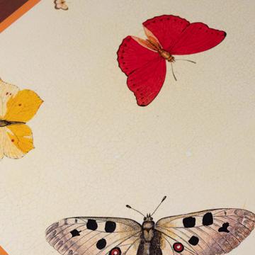 Set de table Papillon en chromo sur bois, orange [3]