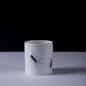 Collection Fourmi en porcelaine de Limoges, blanc, 5,5 cm [1]