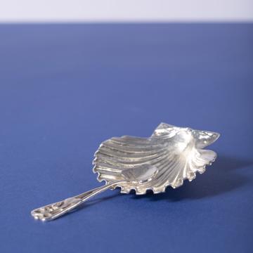 Shell salt cellar in silver plated, silver, with spoon [1]