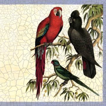 Amazonie, Chromo placemats in laminated paper, multicolor, macaw [2]