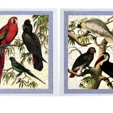 Amazonie, Sets de Table Chromo Plastifié, multicolore, collection complète [2]