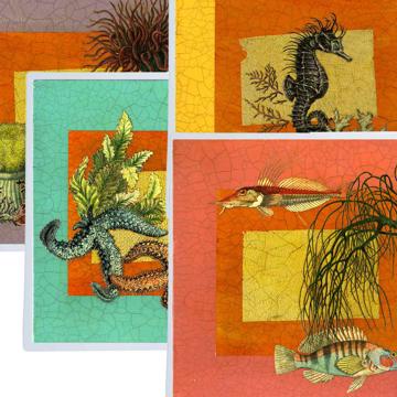 Aquarius, Chromo placemats in laminated paper, multicolor, complet collection [2]