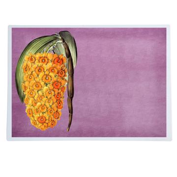 Flowers, Chromo placemats in laminated paper, violet, flower 4 [1]