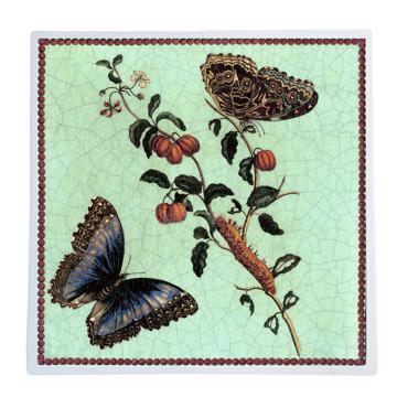 Papillon et chenille, Set de Table Chromo Plastifié