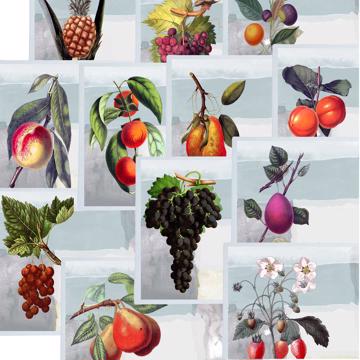 Fruits, Chromo placemats in laminated paper, blue grey, complet collection [2]