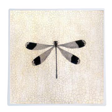 Dragonflies, Chromo placemat in laminated paper, white