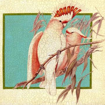 Oiseaux Gould, Set de Table Chromo Plastifié, multicolore, oiseau 2 [2]