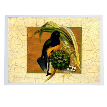 Gould Birds 6, Chromo placemats in laminated paper, multicolor, bird 3 [1]