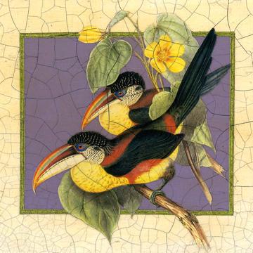 Gould Birds 6, Chromo placemats in laminated paper, multicolor, bird 4 [2]
