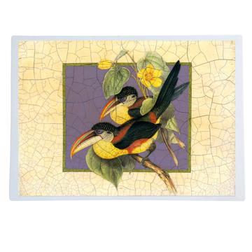 Gould Birds 6, Chromo placemats in laminated paper, multicolor, bird 4 [1]