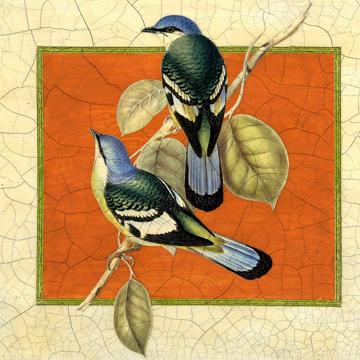 Gould Birds 6, Chromo placemats in laminated paper, multicolor, bird 5 [2]