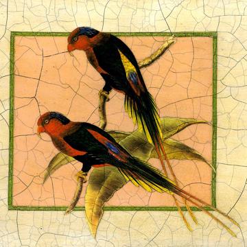 Gould Birds 6, Chromo placemats in laminated paper, multicolor, bird 6 [2]