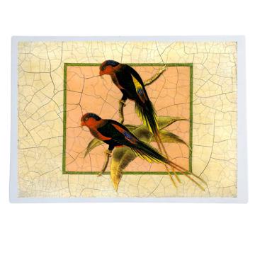Gould Birds 6, Chromo placemats in laminated paper, multicolor, bird 6 [1]
