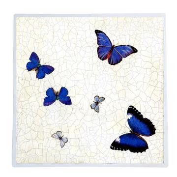 Papillons, Set de Table Chromo Plastifié, bleu foncé