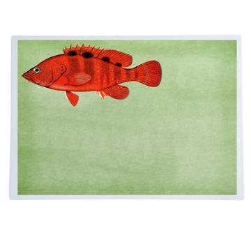 Fish and Shell, Chromo placemats in laminated paper, light green, fish 1 [1]