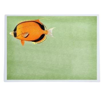 Fish and Shell, Chromo placemats in laminated paper, light green, fish 3 [1]