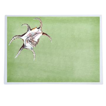 Fish and Shell, Chromo placemats in laminated paper, light green, shell 4 [1]