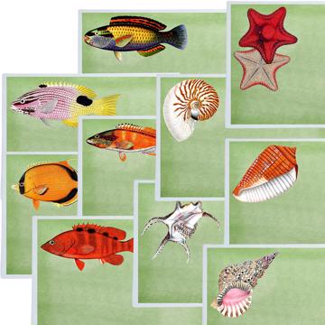Fish and Shell, Chromo placemats in laminated paper, light green, complet collection [2]