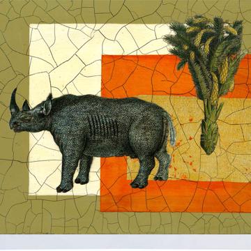Safari, Chromo placemats in laminated paper, multicolor, rhinoceros [2]