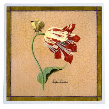 Tulips, Chromo placemats in laminated paper, light pink, tulip 3