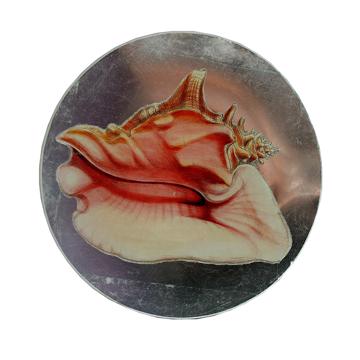 Shells plates in decoupage under glass, silver, shell 8