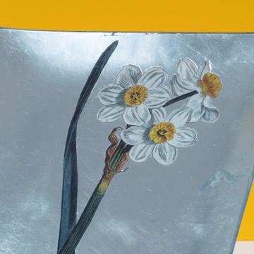 Daffodil table plate in decoupage under glass, silver, daffodil 1 [2]