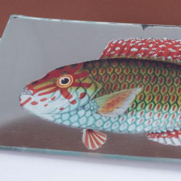 Fish Sushi plate dish in decoupage under glass, silver, fish 2 [2]