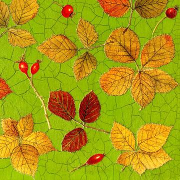 Automn Leaves, Chromo placemats in laminated paper, grass green [2]