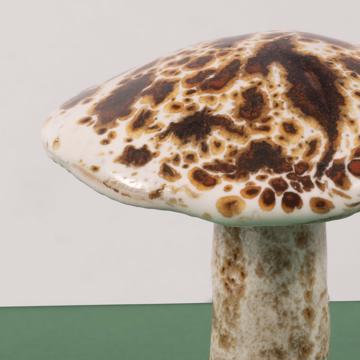 Mushroom in sandstone, beige, spring mushroom [2]