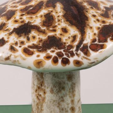 Mushroom in sandstone, beige, spring mushroom [3]