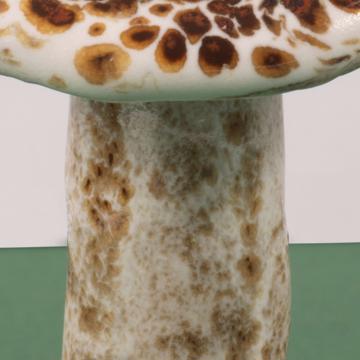 Mushroom in sandstone, beige, spring mushroom [5]