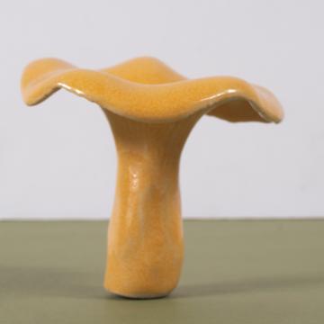 Mushroom in sandstone, orange, chanterelle [2]