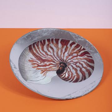 Shells plates in decoupage under glass, silver, shell 3 [1]