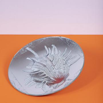 Shells plates in decoupage under glass, silver, shell 4 [1]