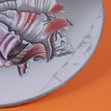 Shells plates in decoupage under glass, silver, shell 6 [5]