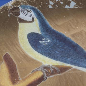 Parrot plate in decoupage under glass, gold, parrot 2 [5]