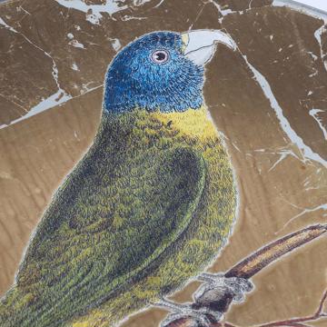 Parrot plate in decoupage under glass, gold, parrot 3 [2]