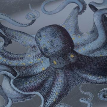 Octopus large dish in decoupage under glass, silver